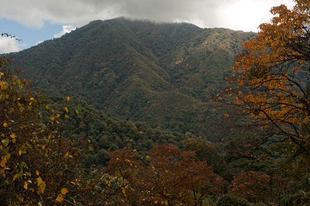 Išsamus vadovas „Eaglenest Wildlife Sanctuary“, Arunachal Pradesh