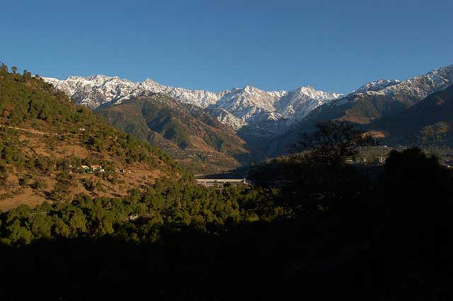 Palampur