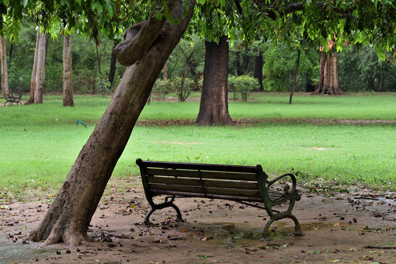 Jelení park