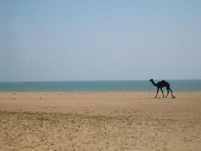Top 10 plaža u Gujaratu