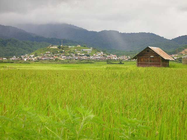 지로