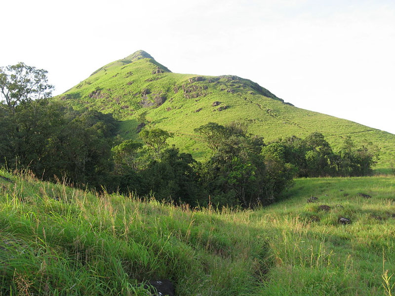 Vrh Chembra Trek, Kerala