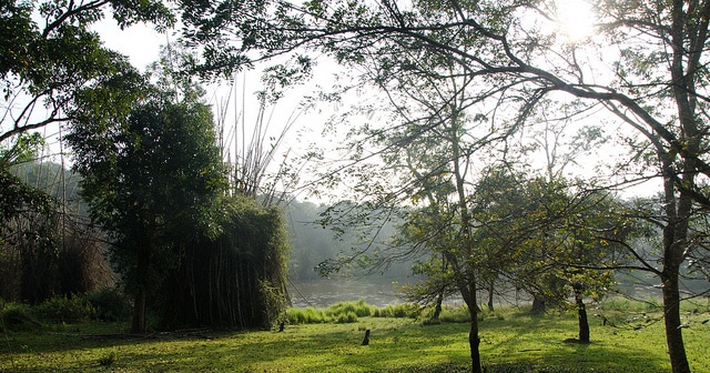 nagarhole-ulusal-park