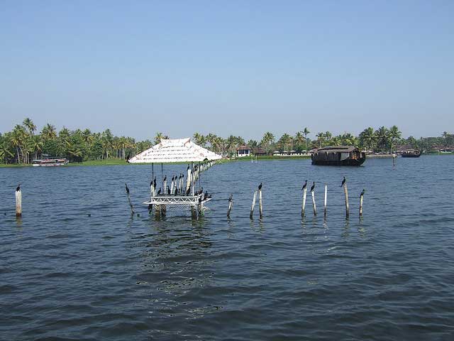 sanctuaire d'oiseaux de kumarakom