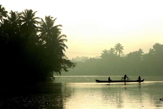 कुमारकोम-backwaters1