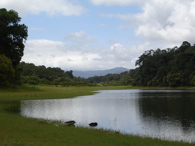 Светилище за диви животни Periyar, Керала