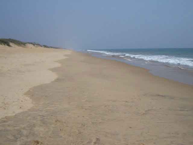 Top 10 des plages d'Orissa