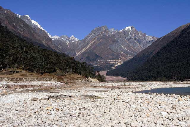 Sanctuarul Shingba Rhododendron, Gangtok