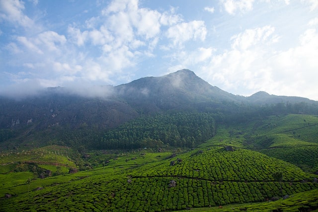 munnar-hills