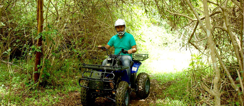 פארק ההרפתקאות Grange Treetop, Yercaud