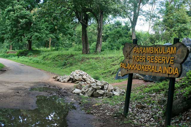 Parambikulam-Naturschutzgebiet